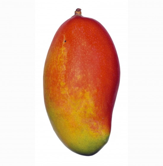 Froita fresca (mango)